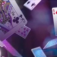 gambling-review/wild-card-city-casino